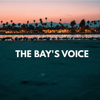SERIES | THE BAY'S VOICE